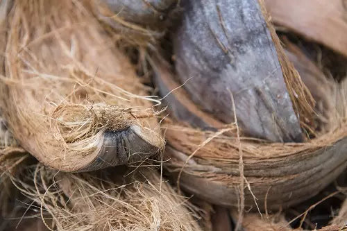Kokosfibre