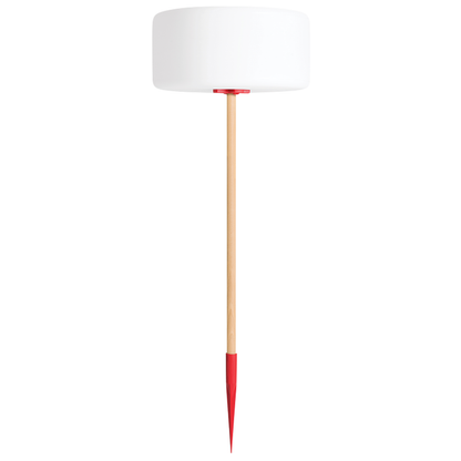 Thierry le Swinger Rosa