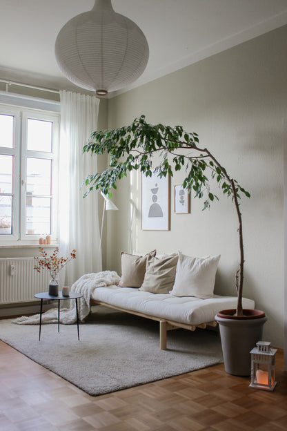 PACE DAYBED