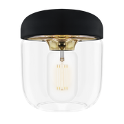 Acorn - Black/Brass