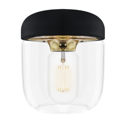 Acorn - Black/Brass