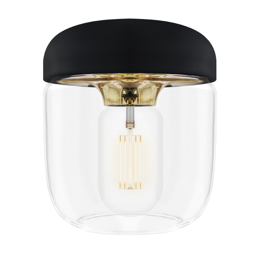 Acorn - Black/Brass